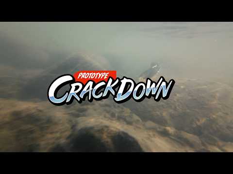 Crackdown 6"